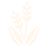 Grains